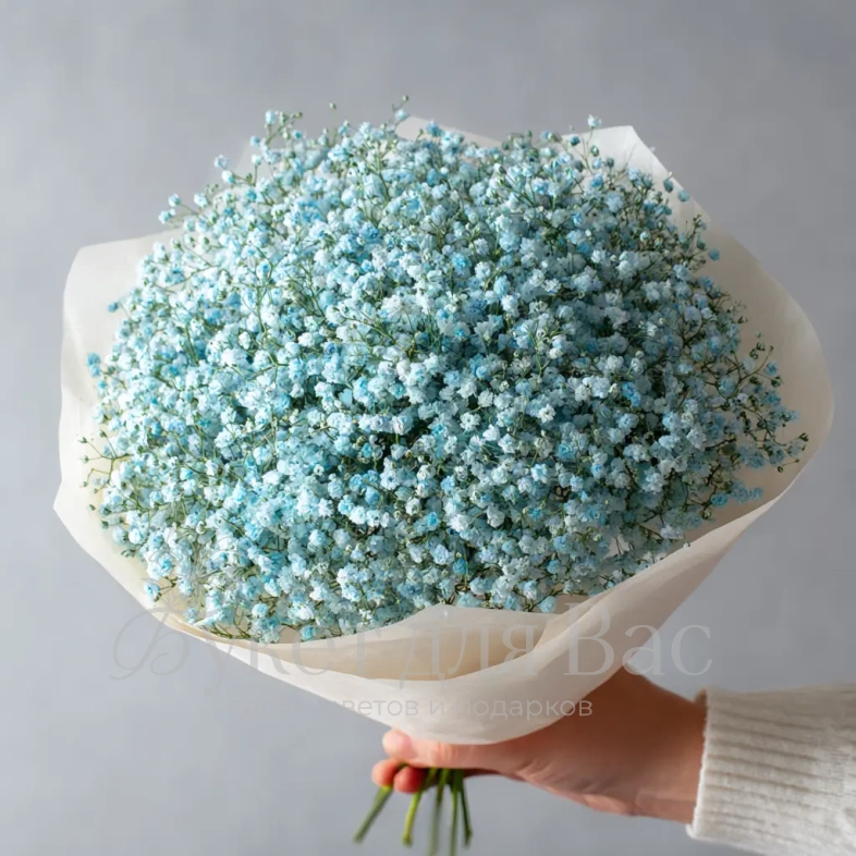 Монобукет из голубой гипсофилы