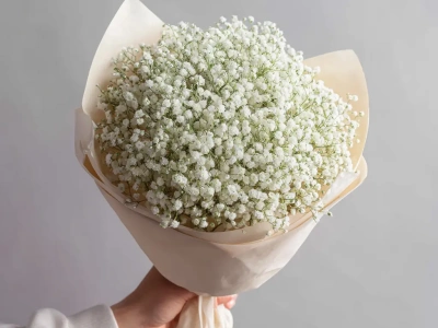 Монобукет из гипсофилы «Лёгкий штрих»