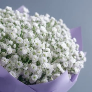 Монобукет из гипсофилы &laquo;Облачная нега&raquo; 1