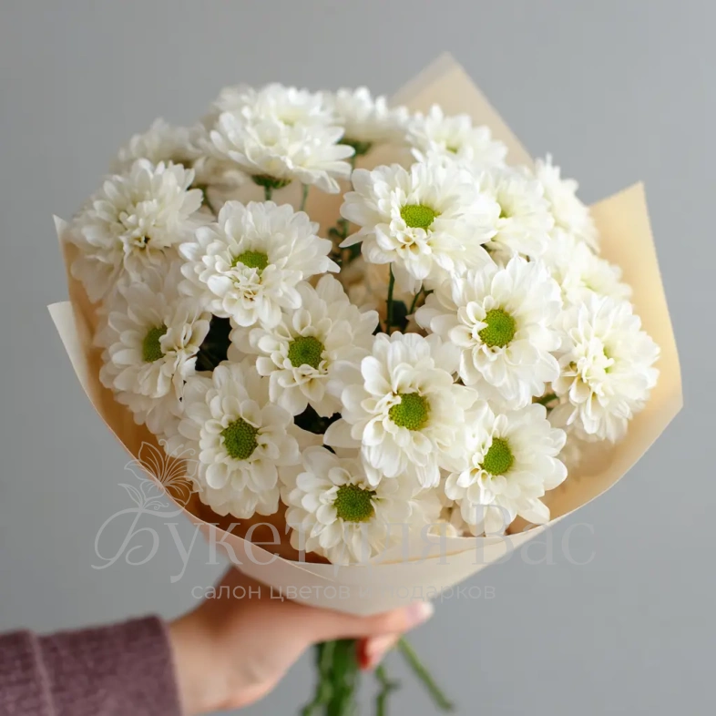 Монобукет из белых хризантем