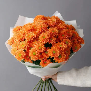 Монобукет из хризантем «Осенний привет»