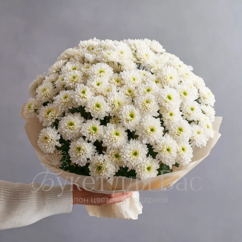 Монобукет из хризантем &laquo;Белое облако&raquo;