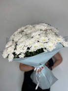 15 хризантем 0