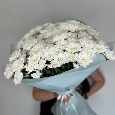 15 хризантем