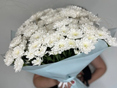 15 хризантем