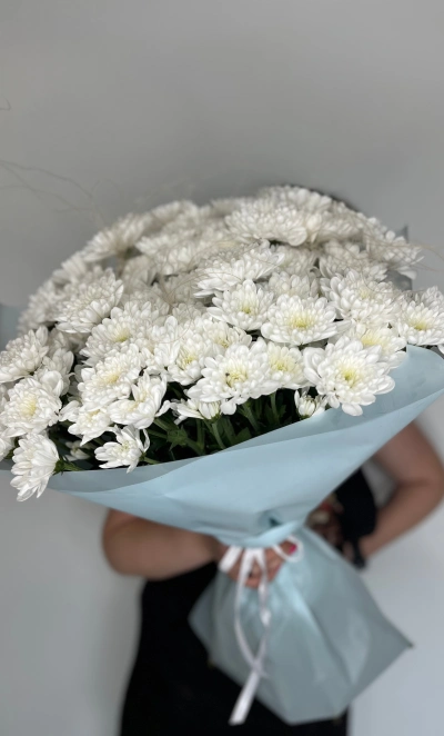 15 хризантем
